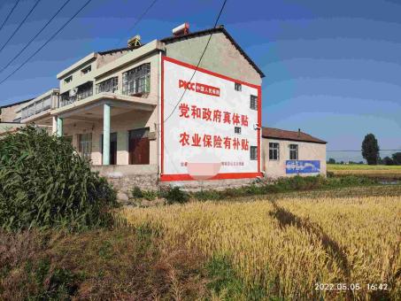 习水墙体广告多少钱一平