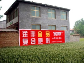 习水如何让墙体广告展现最大化效果