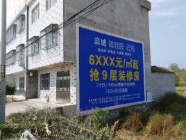 习水墙体广告质量分析