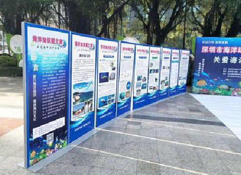 习水KT板的种类和知识。